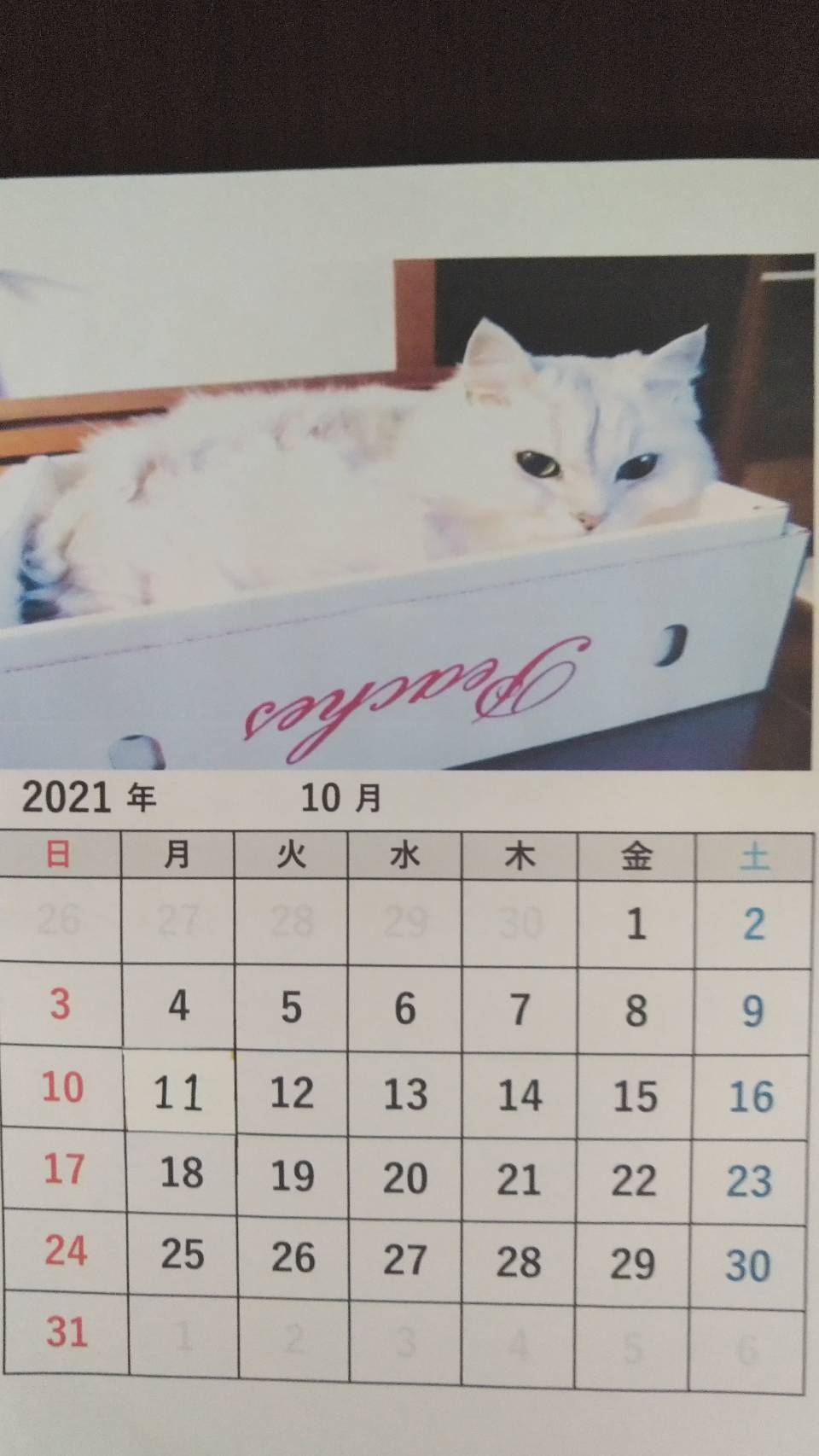 10月カレンダー