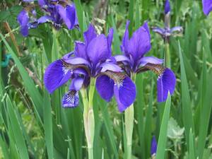 ５月病は自律神経失調症❓❓❓